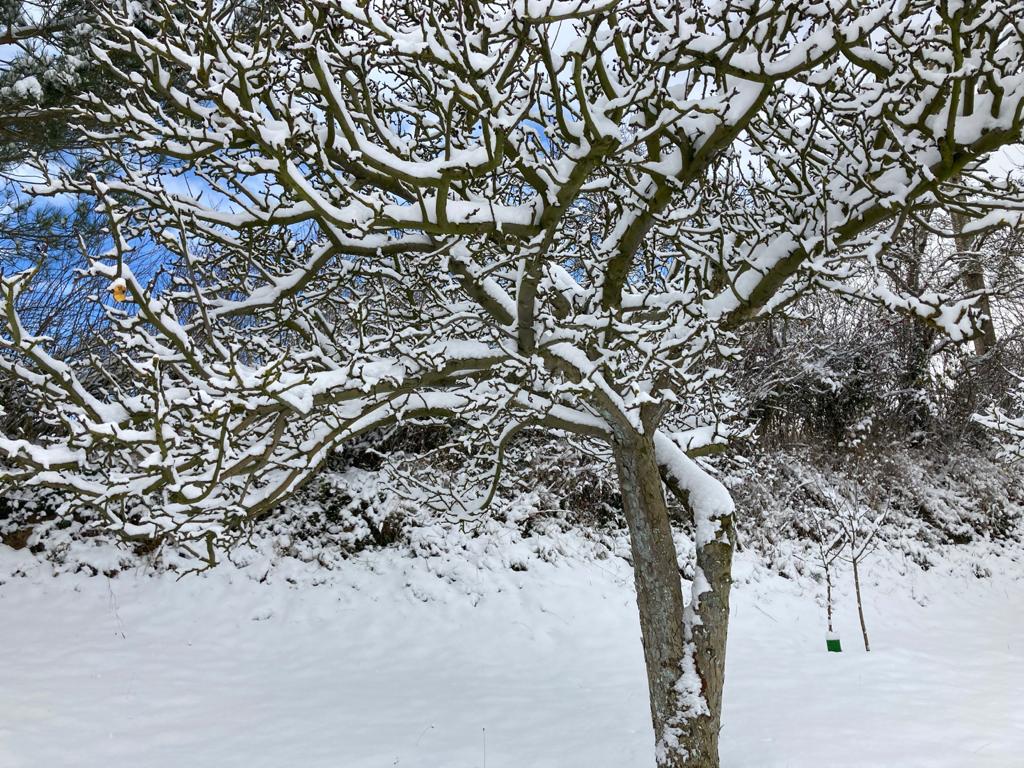 La nieve está dejando estampas espectaculares en la provincia, como esta de Extramiana. 