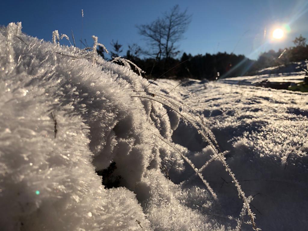 La nieve está dejando estampas espectaculares en la provincia, como esta de Extramiana. 