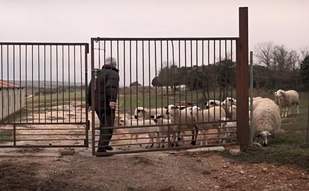 Fotograma del documental. 