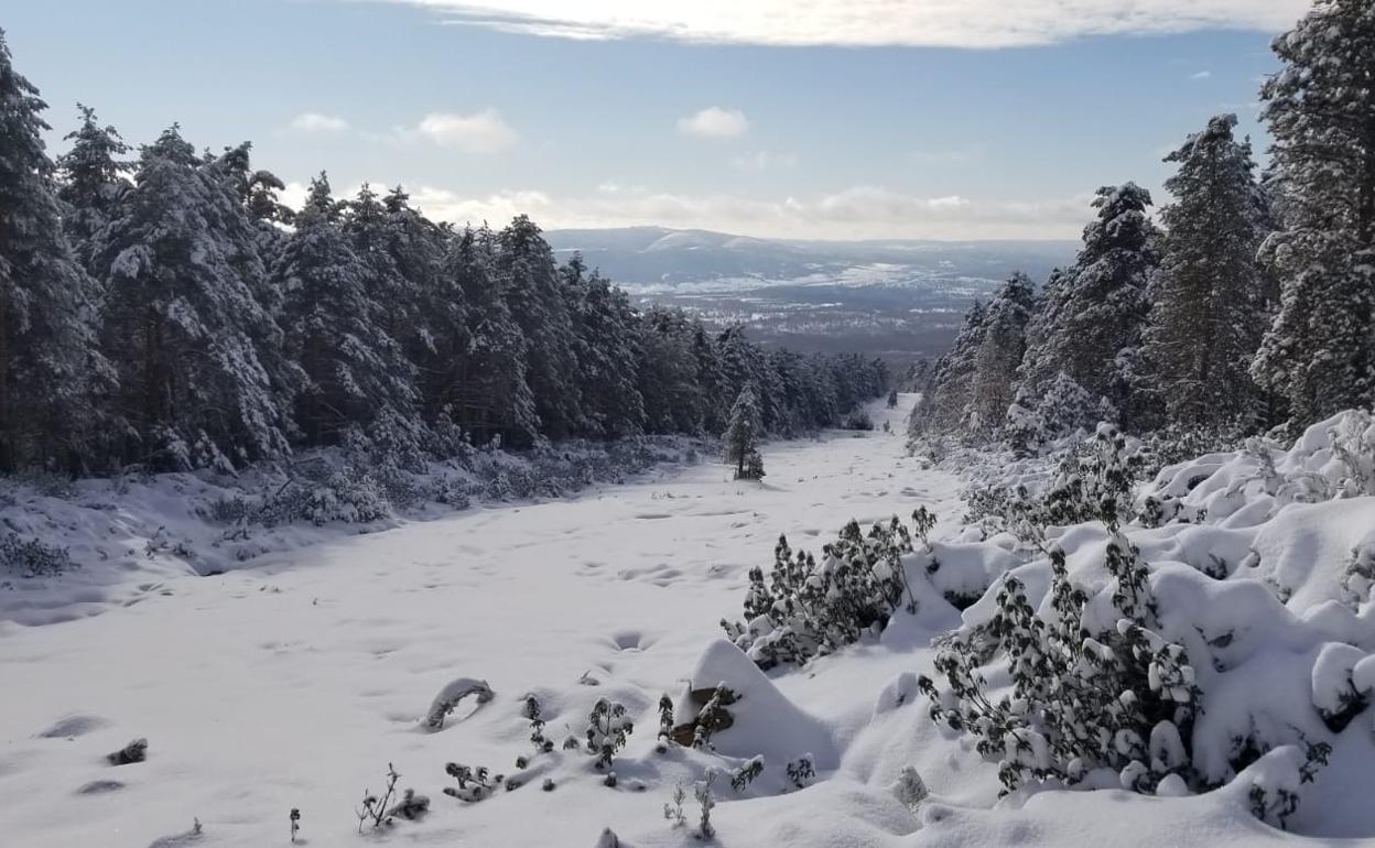 Imagen de Palacios de la Sierra en esta semana.