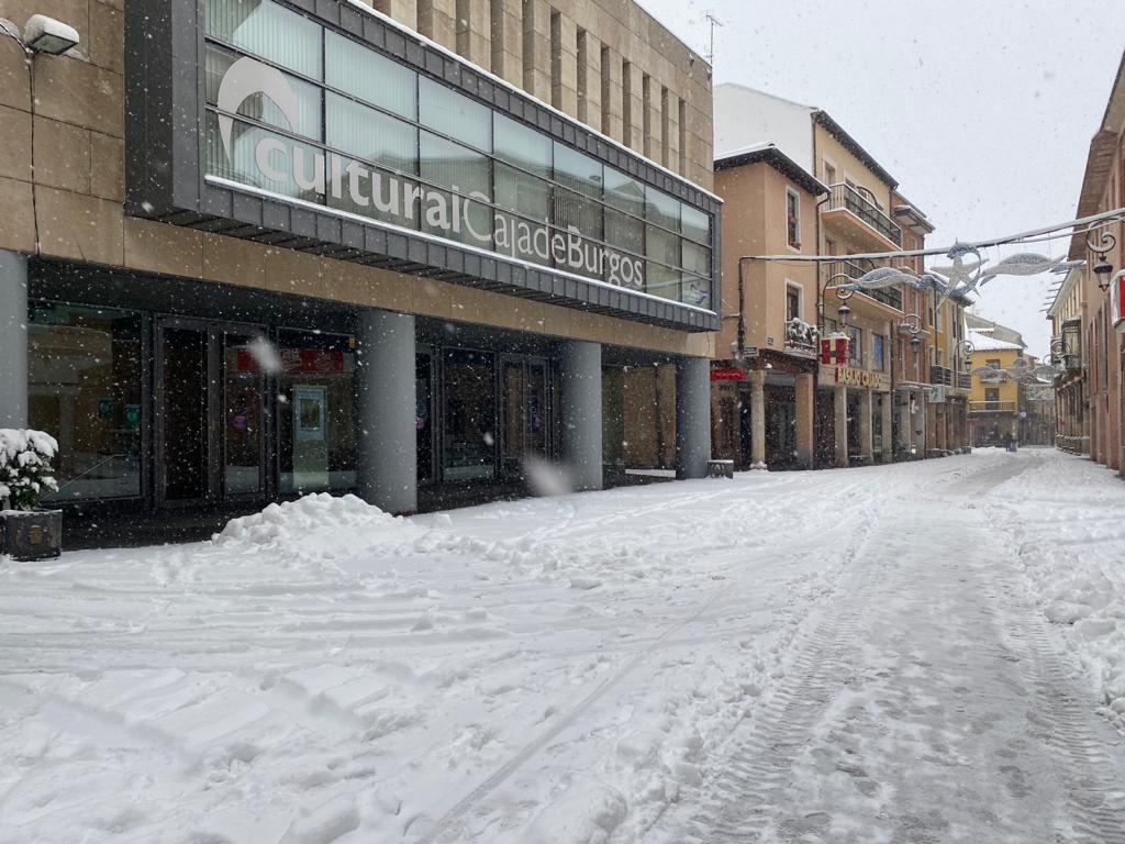 Fotos: Aranda de Duero se levanta cubierta de nieve