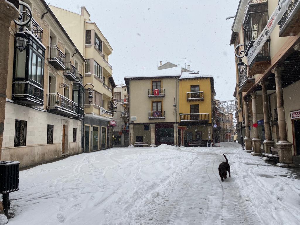 Fotos: Aranda de Duero se levanta cubierta de nieve