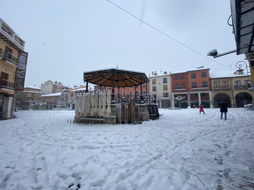 Fotos: Aranda de Duero se levanta cubierta de nieve