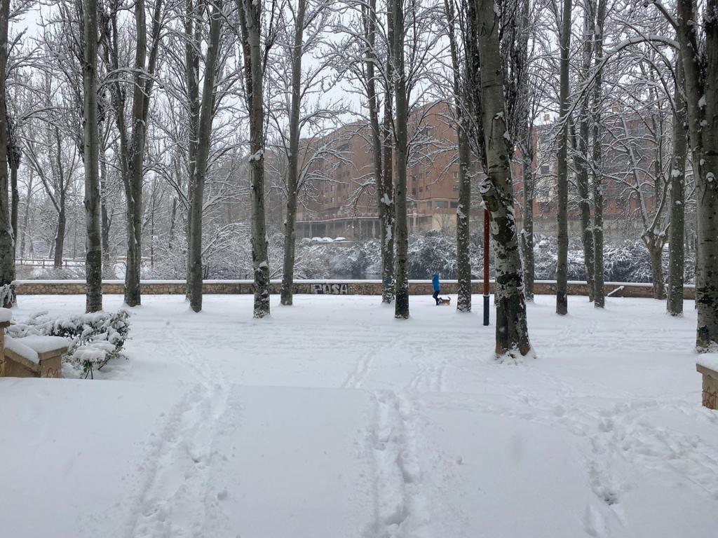 Fotos: Aranda de Duero se levanta cubierta de nieve