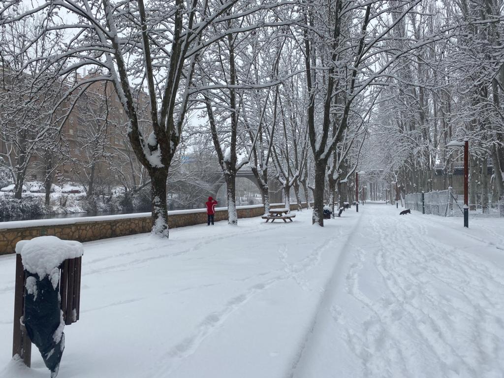 Fotos: Aranda de Duero se levanta cubierta de nieve