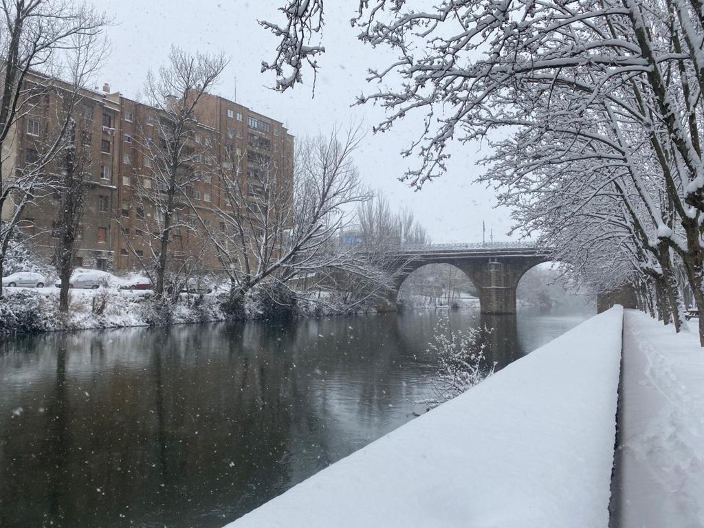 Fotos: Aranda de Duero se levanta cubierta de nieve