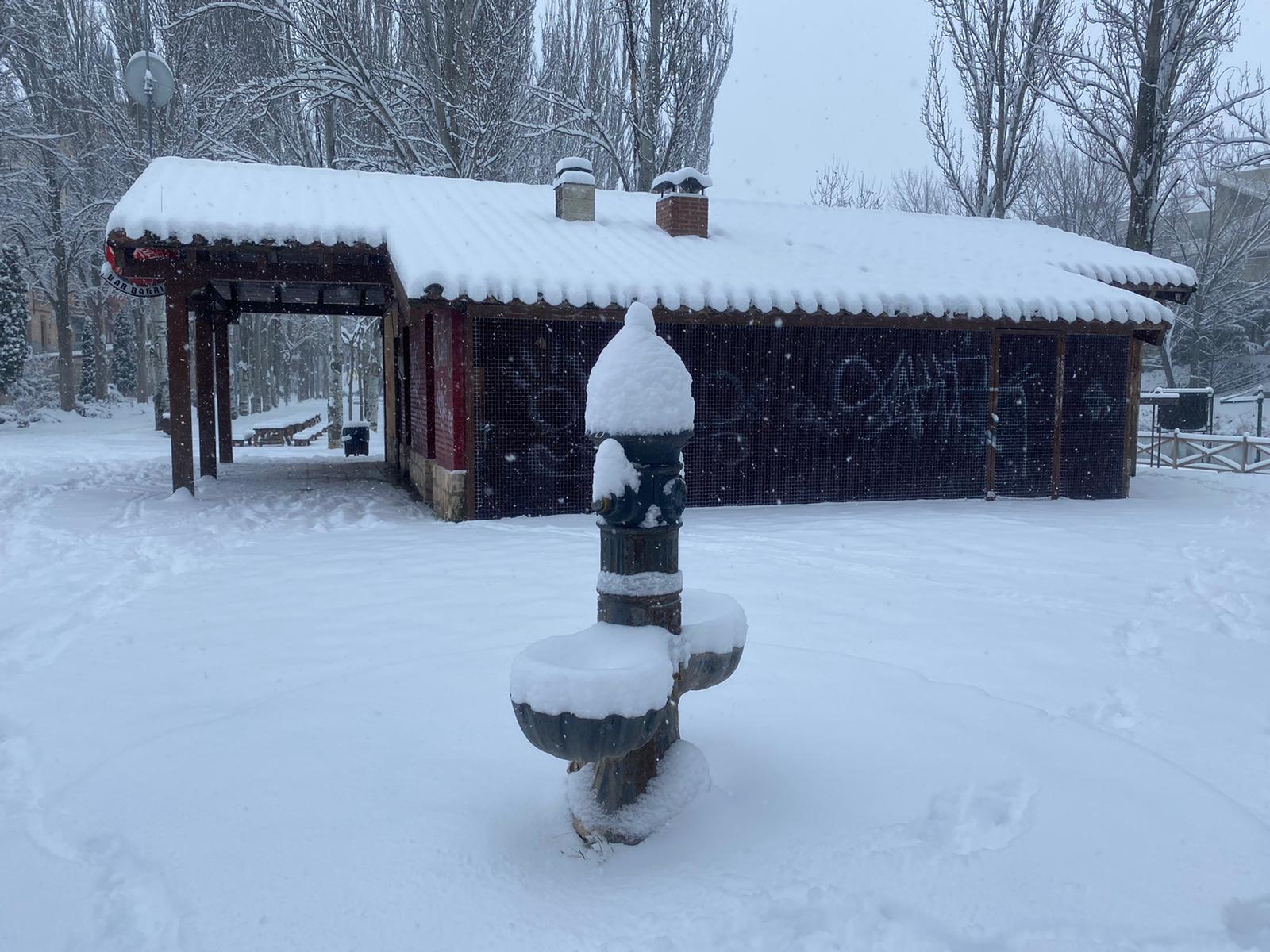 Fotos: Aranda de Duero se levanta cubierta de nieve