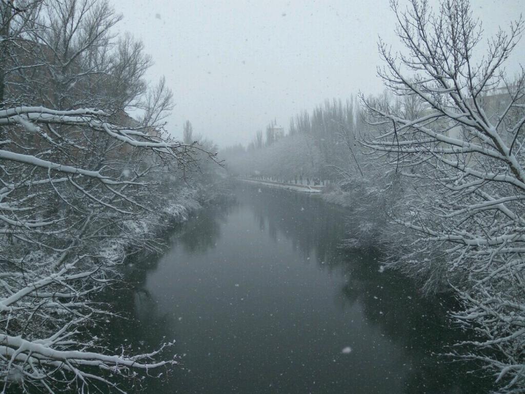 Fotos: Aranda de Duero se levanta cubierta de nieve