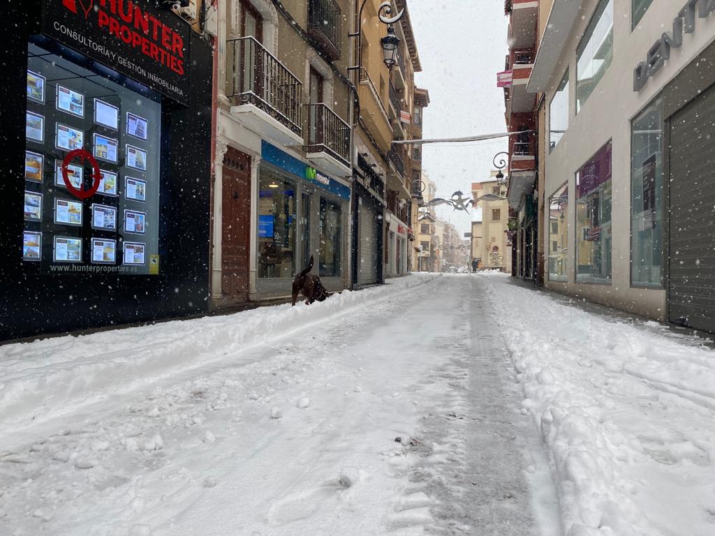 Fotos: Aranda de Duero se levanta cubierta de nieve