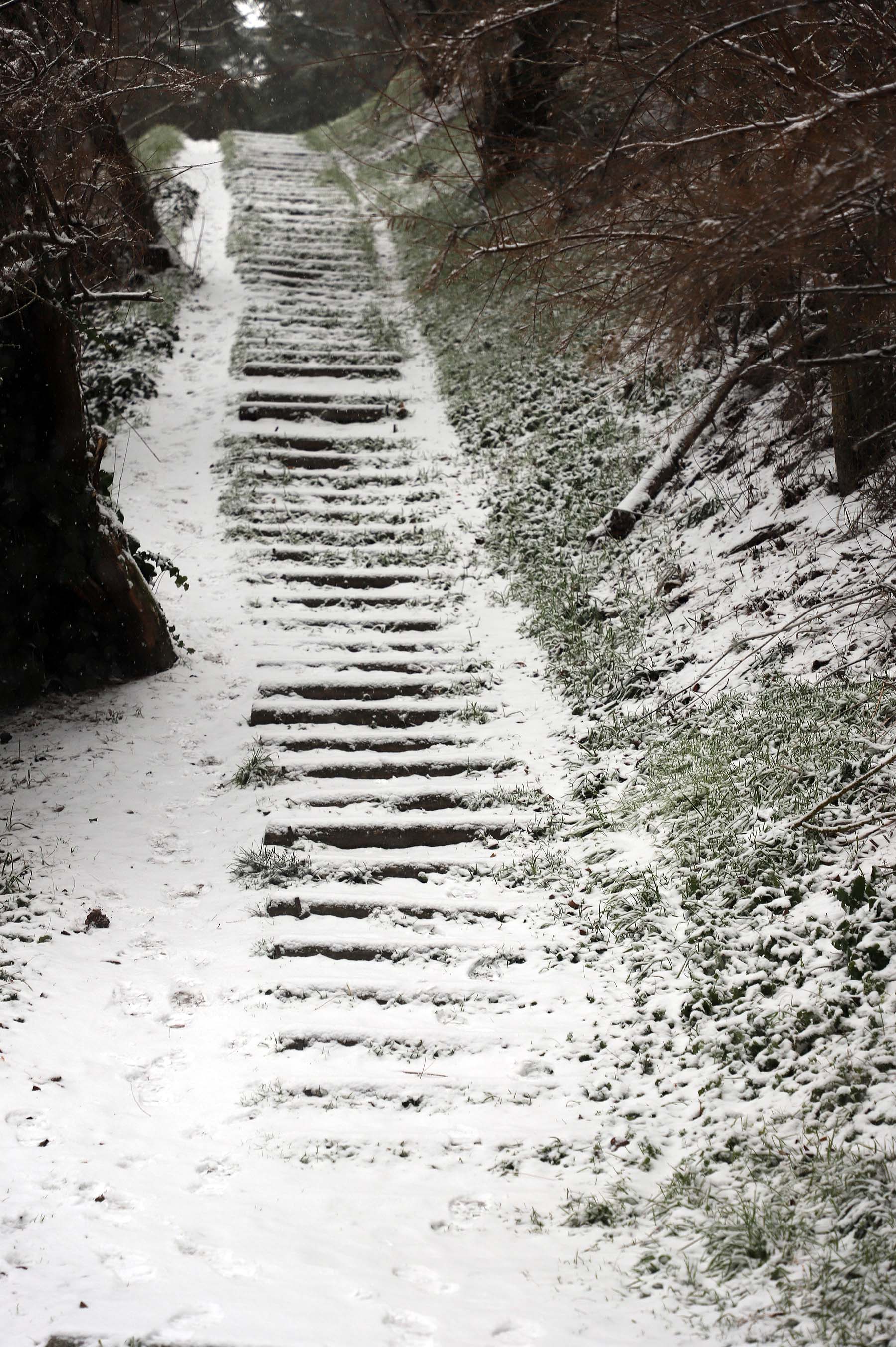 Fotos: Burgos se cubre de nieve gracias a Filomena