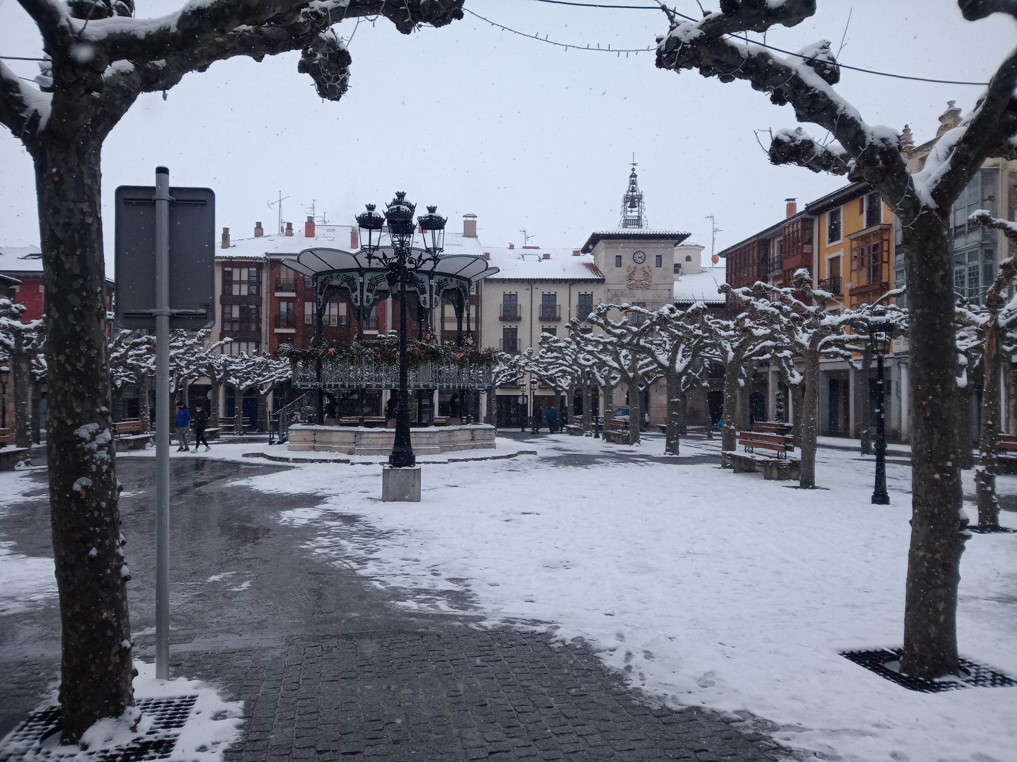 Fotos: Filomena riega de nieve la provincia de Burgos