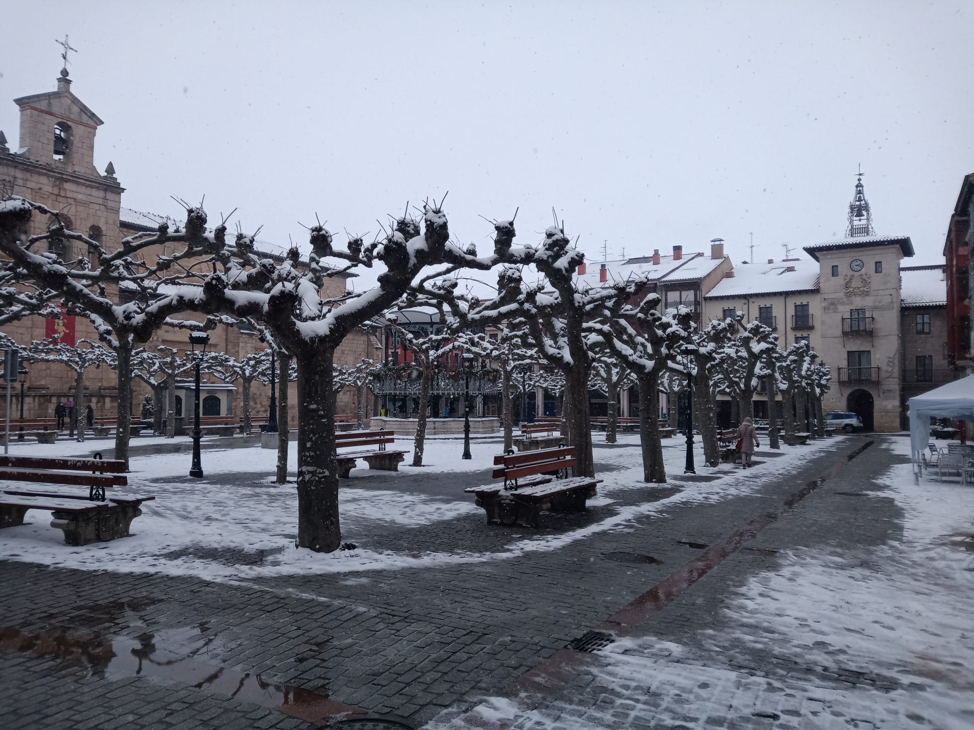 Fotos: Filomena riega de nieve la provincia de Burgos