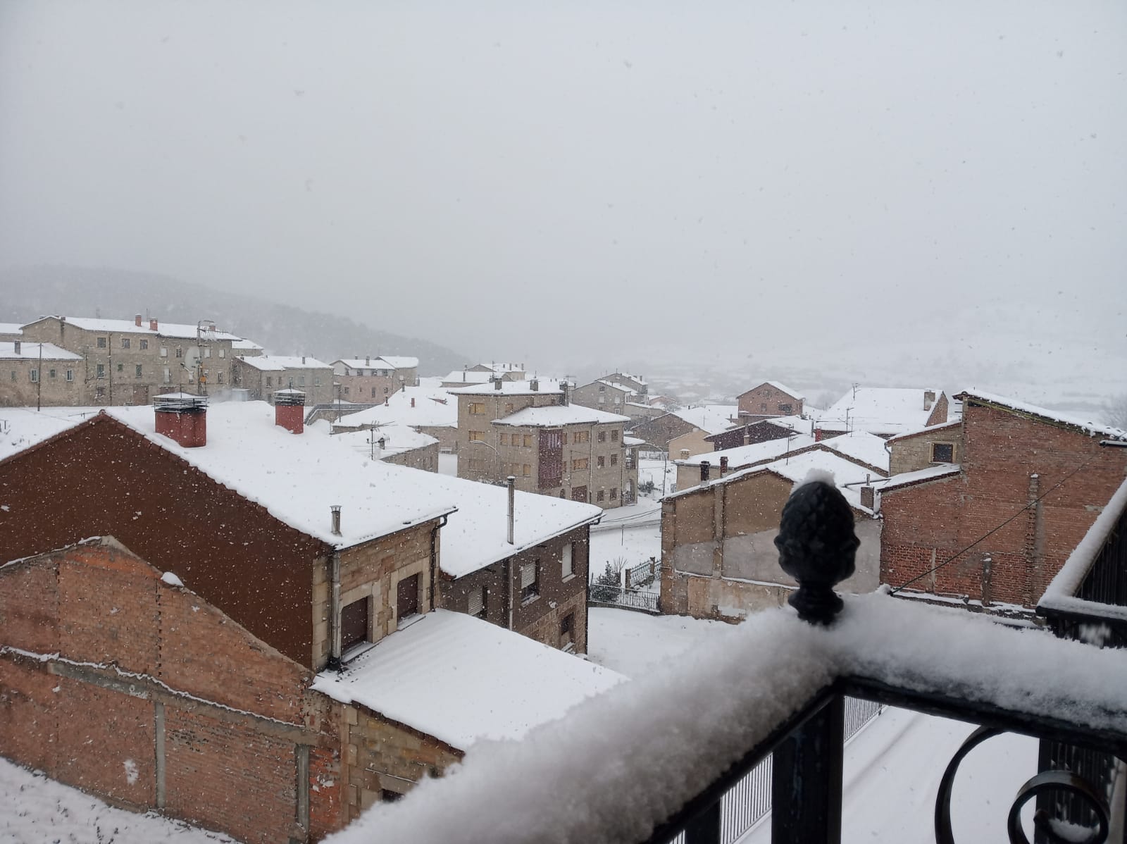 Fotos: Filomena riega de nieve la provincia de Burgos