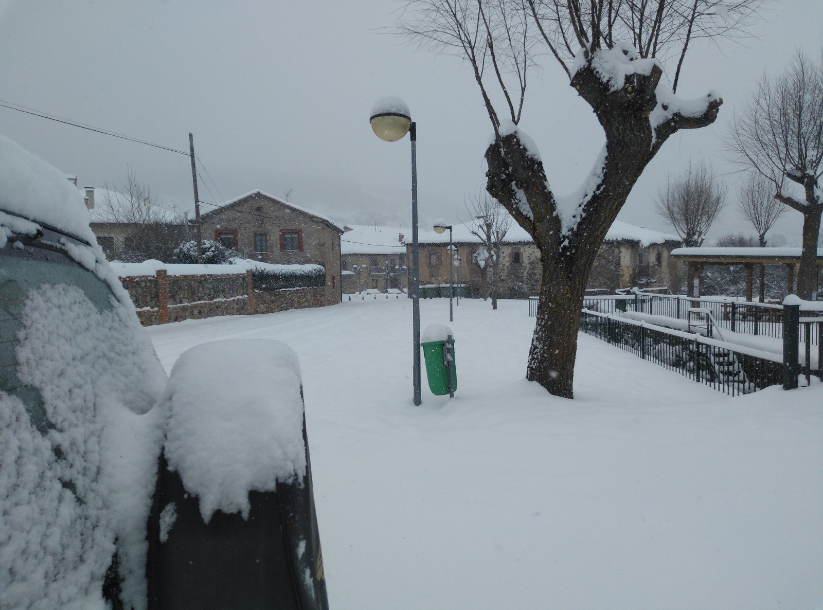 Fotos: Filomena riega de nieve la provincia de Burgos