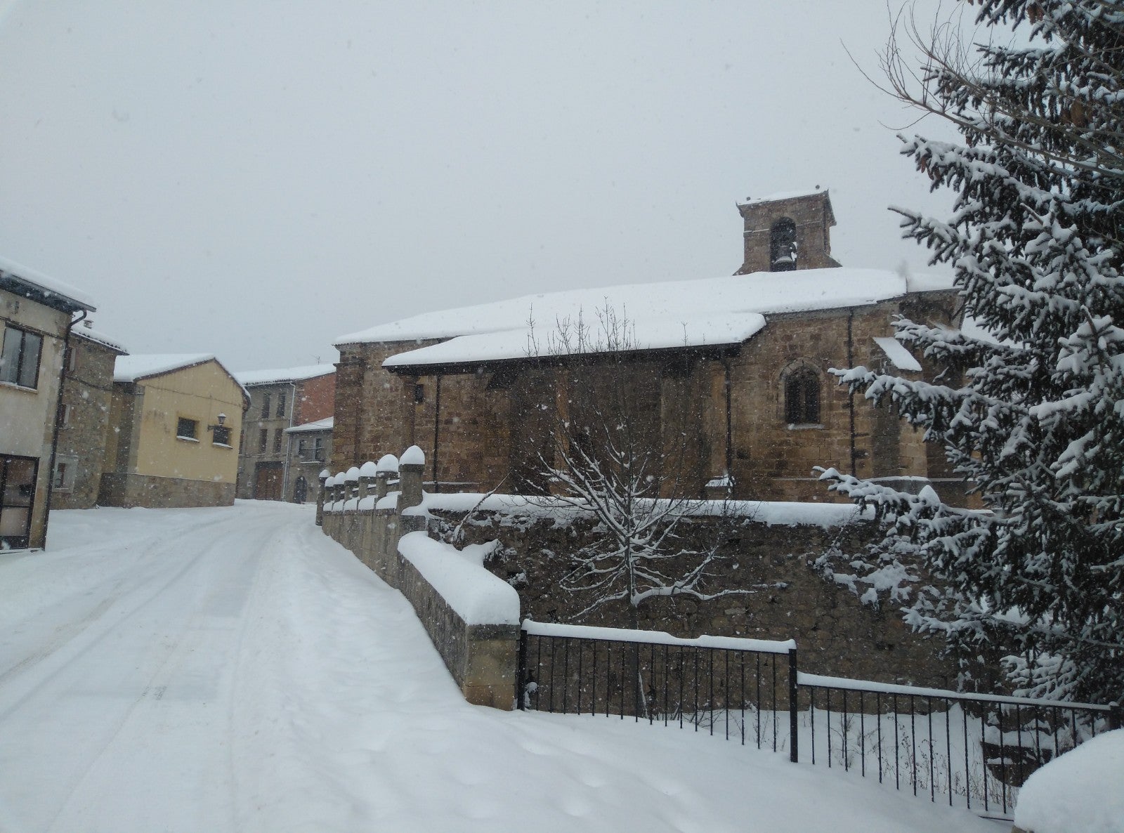 Fotos: Filomena riega de nieve la provincia de Burgos