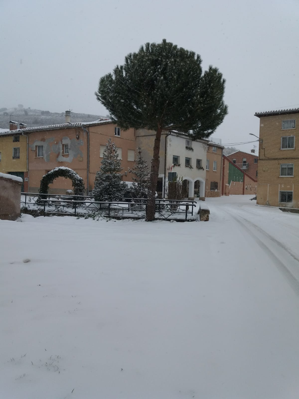 Fotos: Filomena riega de nieve la provincia de Burgos