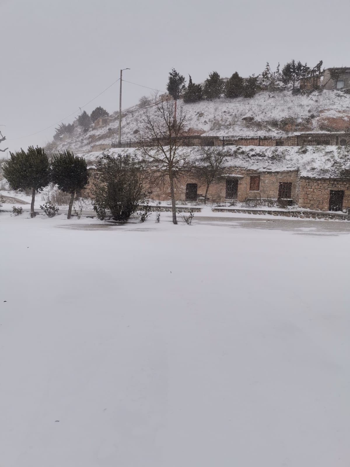 Fotos: Filomena riega de nieve la provincia de Burgos