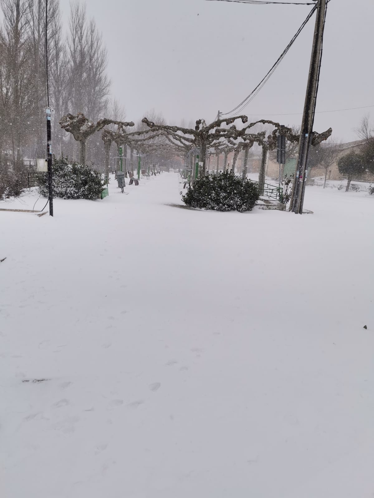 Fotos: Filomena riega de nieve la provincia de Burgos