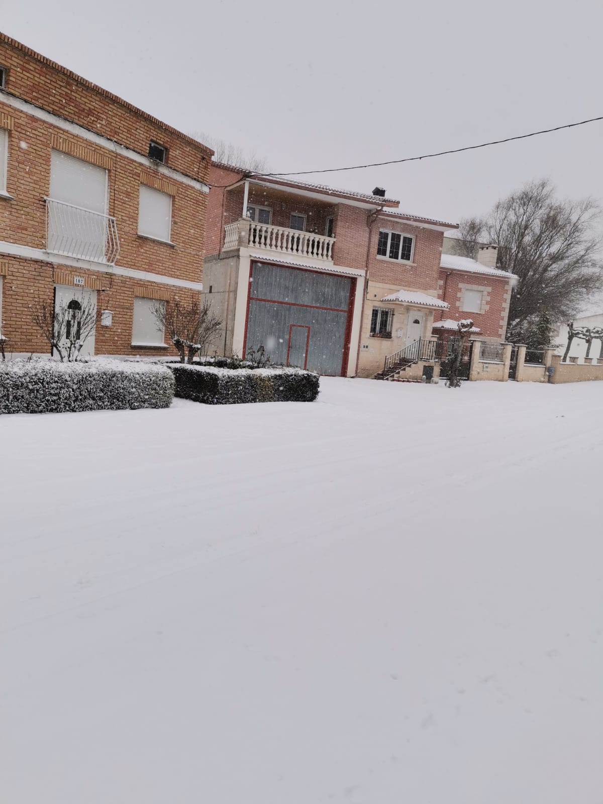 Fotos: Filomena riega de nieve la provincia de Burgos