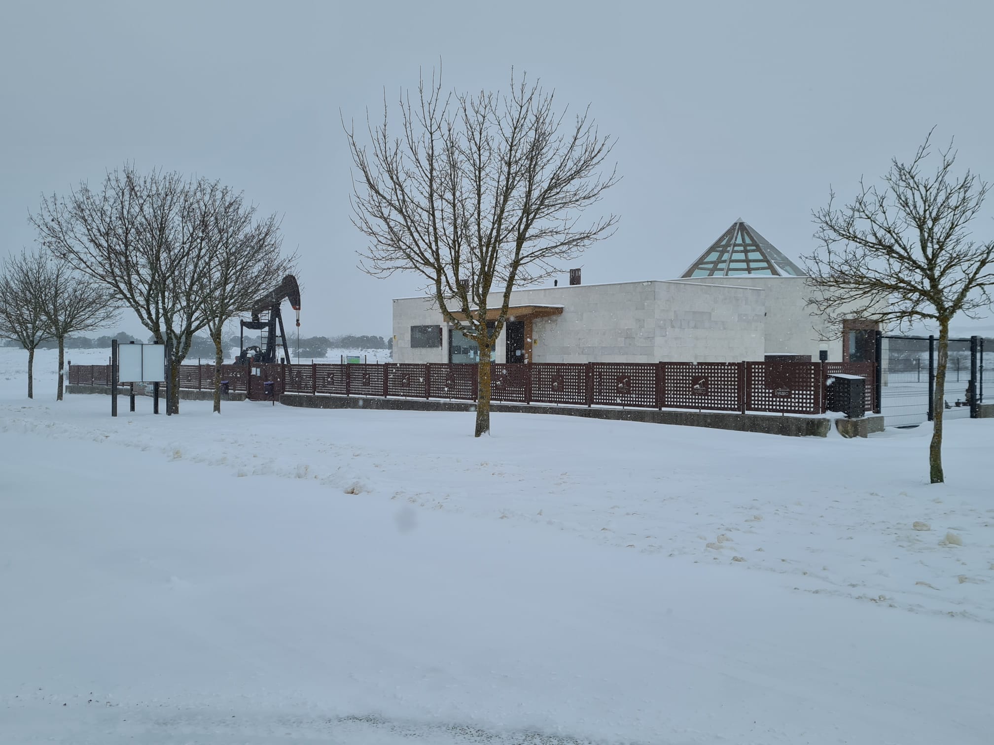 Fotos: Filomena riega de nieve la provincia de Burgos