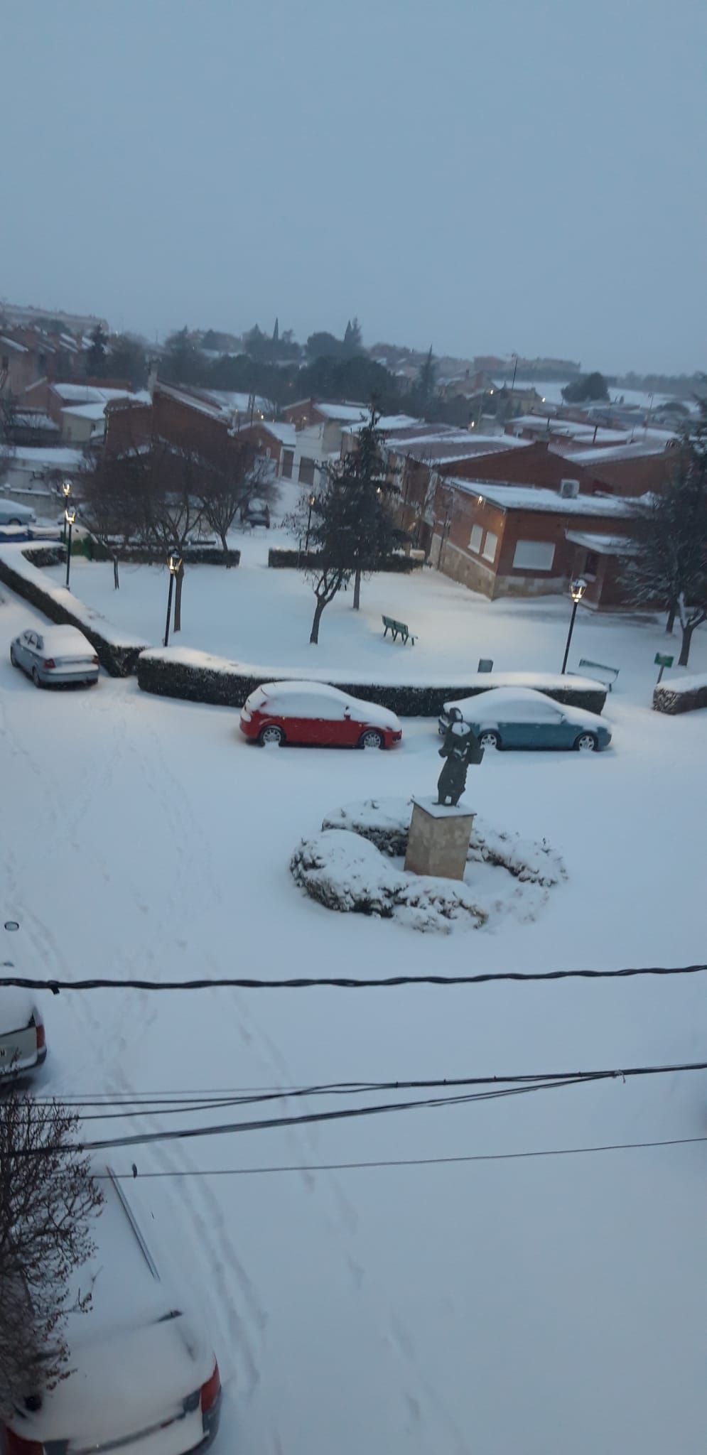 Fotos: La Ribera se cubre de blanco por la nieve de Filomena