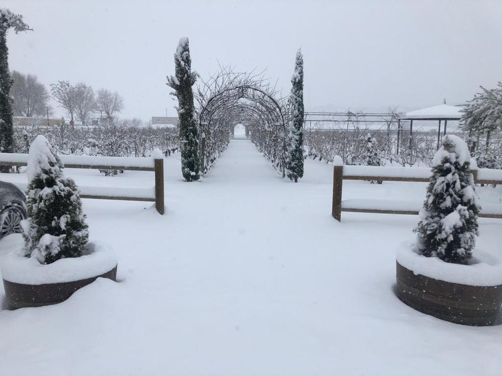 Fotos: La Ribera se cubre de blanco por la nieve de Filomena