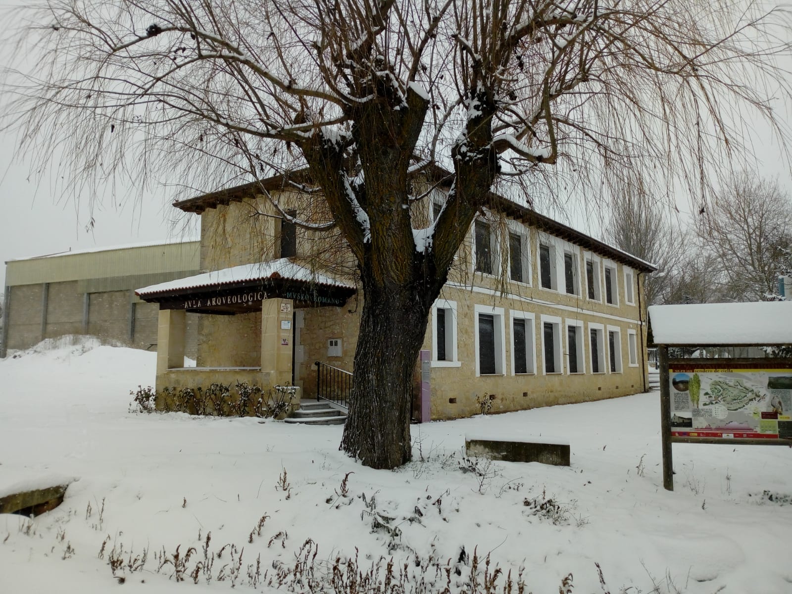 Fotos: La Ribera se cubre de blanco por la nieve de Filomena