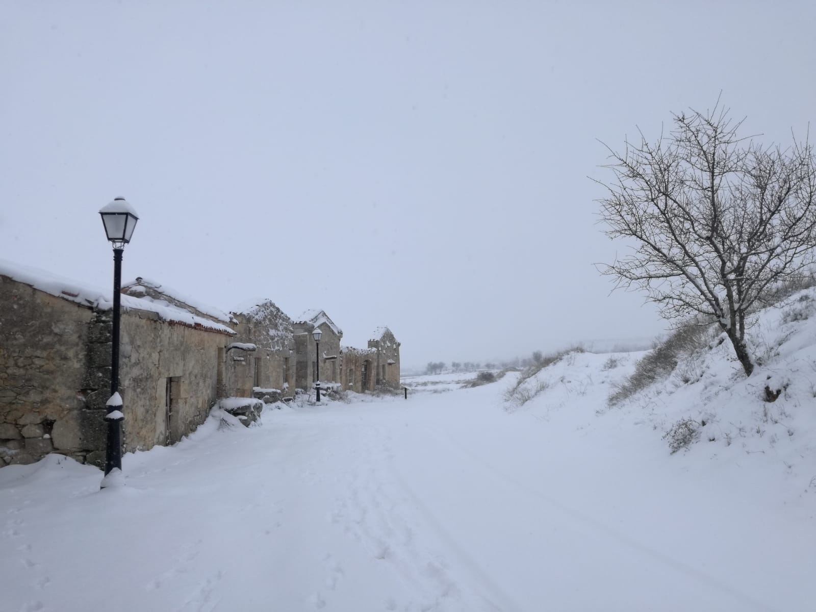 Fotos: La Ribera se cubre de blanco por la nieve de Filomena