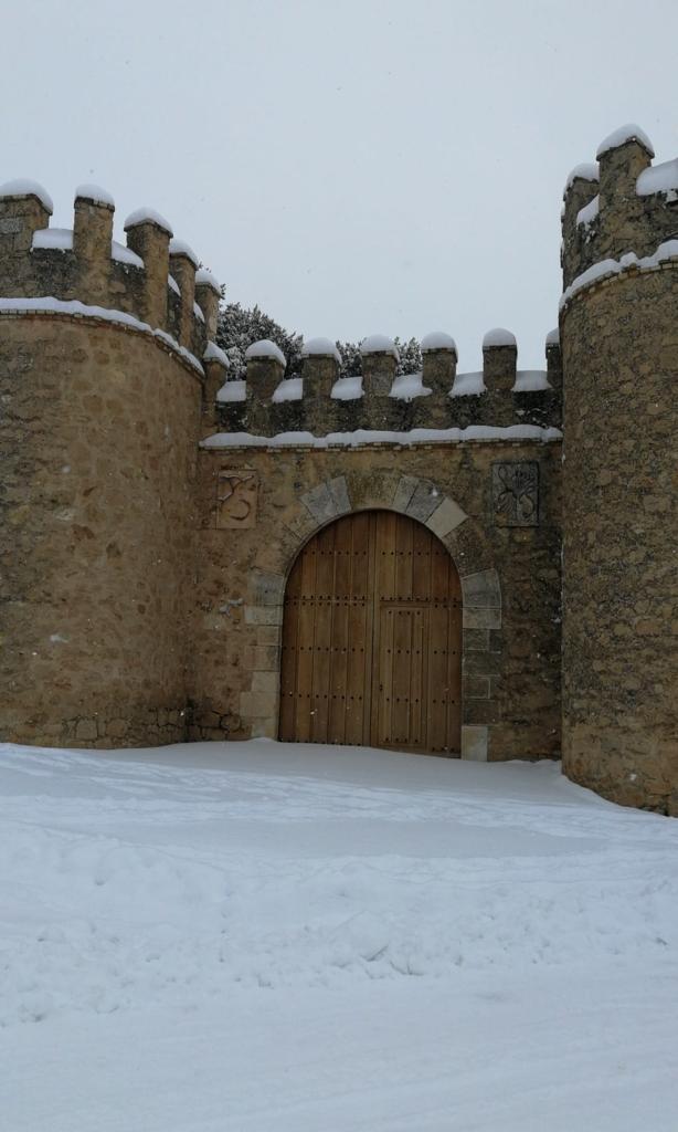 Fotos: La Ribera se cubre de blanco por la nieve de Filomena