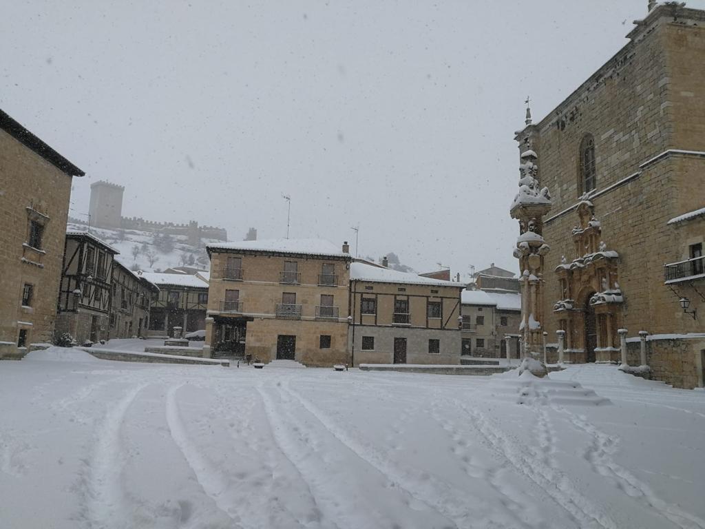 Fotos: La Ribera se cubre de blanco por la nieve de Filomena