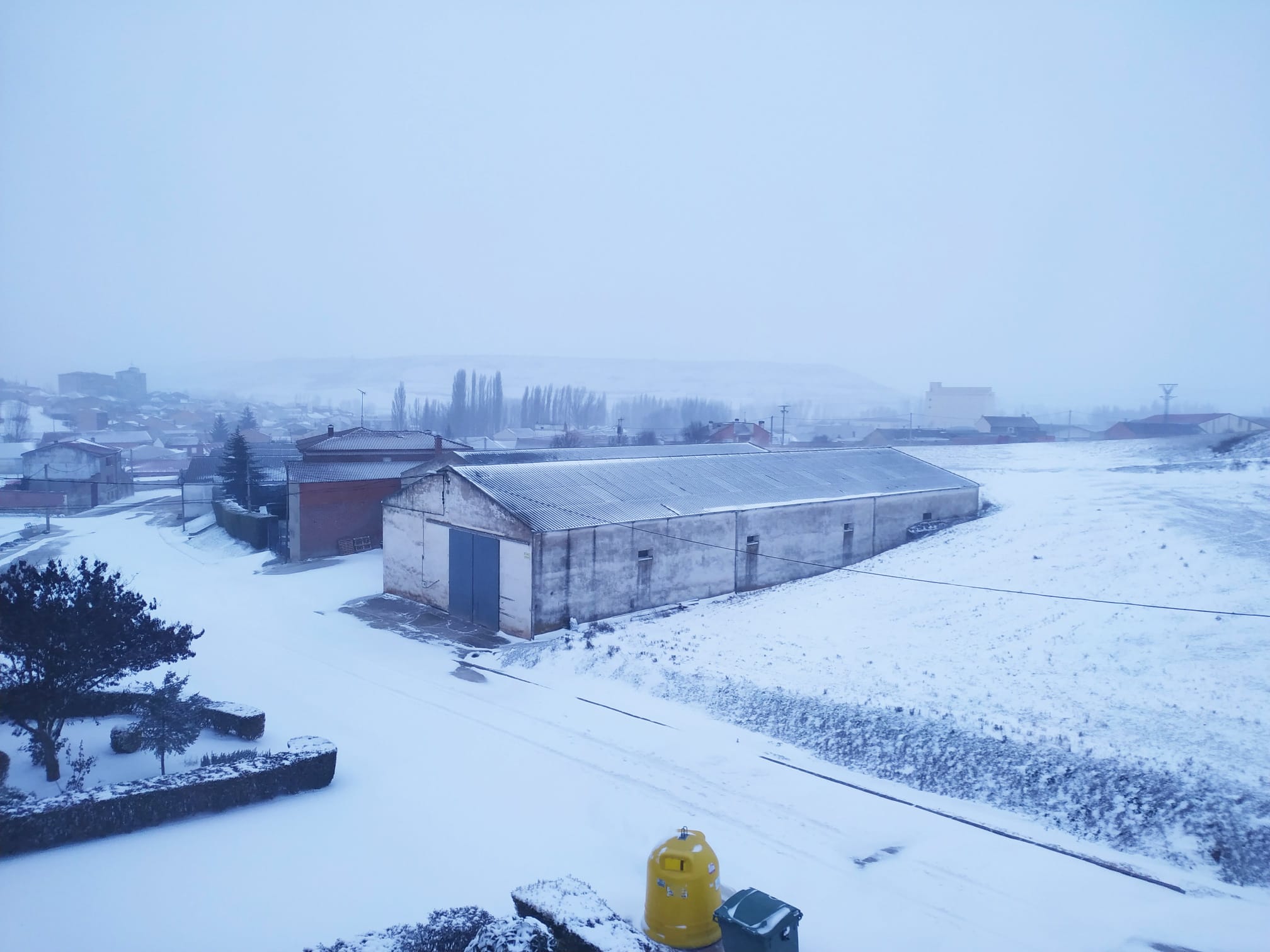 Fotos: La Ribera se cubre de blanco por la nieve de Filomena