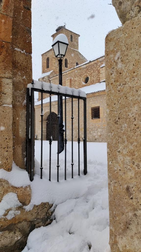 Fotos: La Ribera se cubre de blanco por la nieve de Filomena