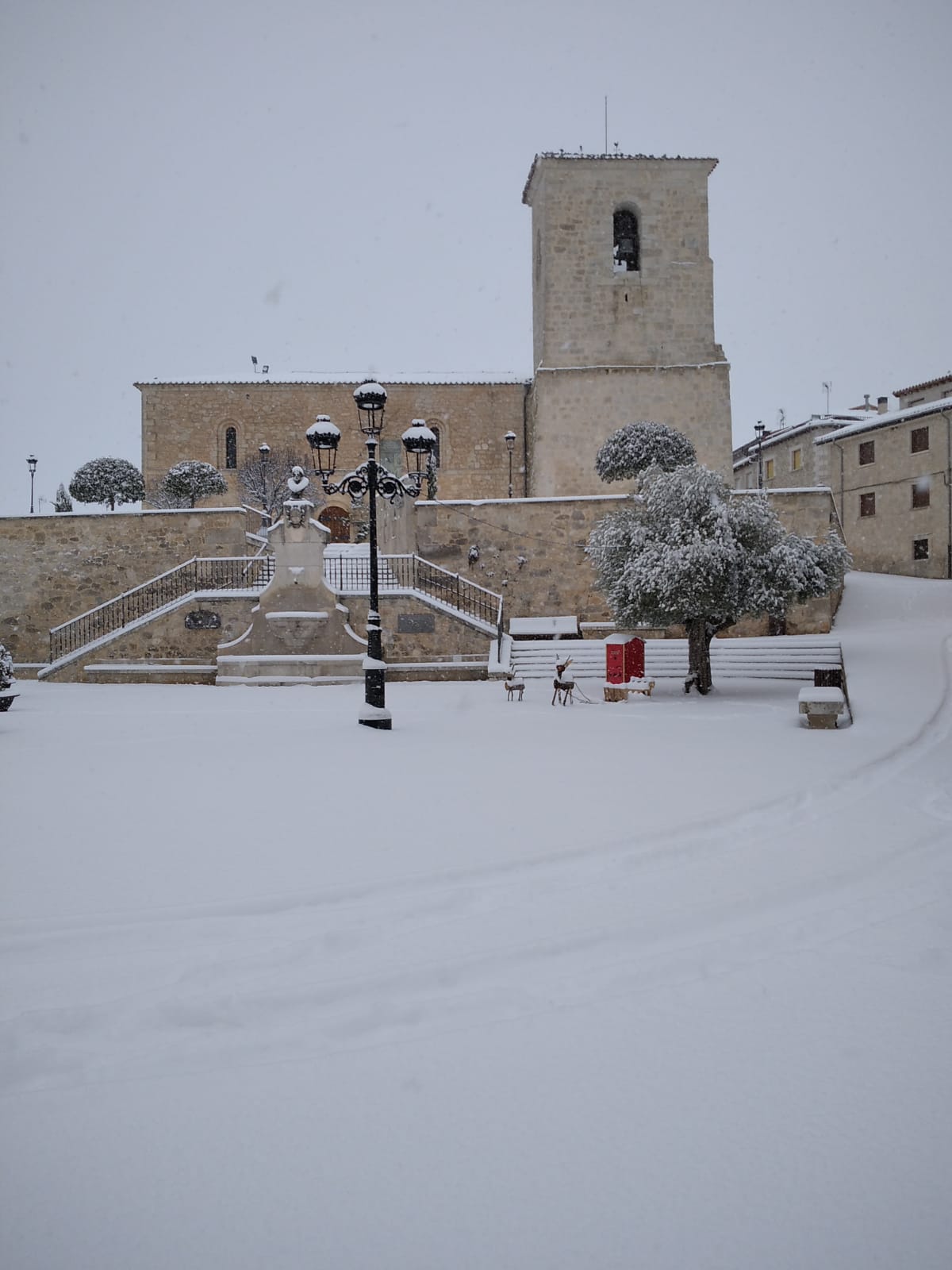 Fotos: La Ribera se cubre de blanco por la nieve de Filomena