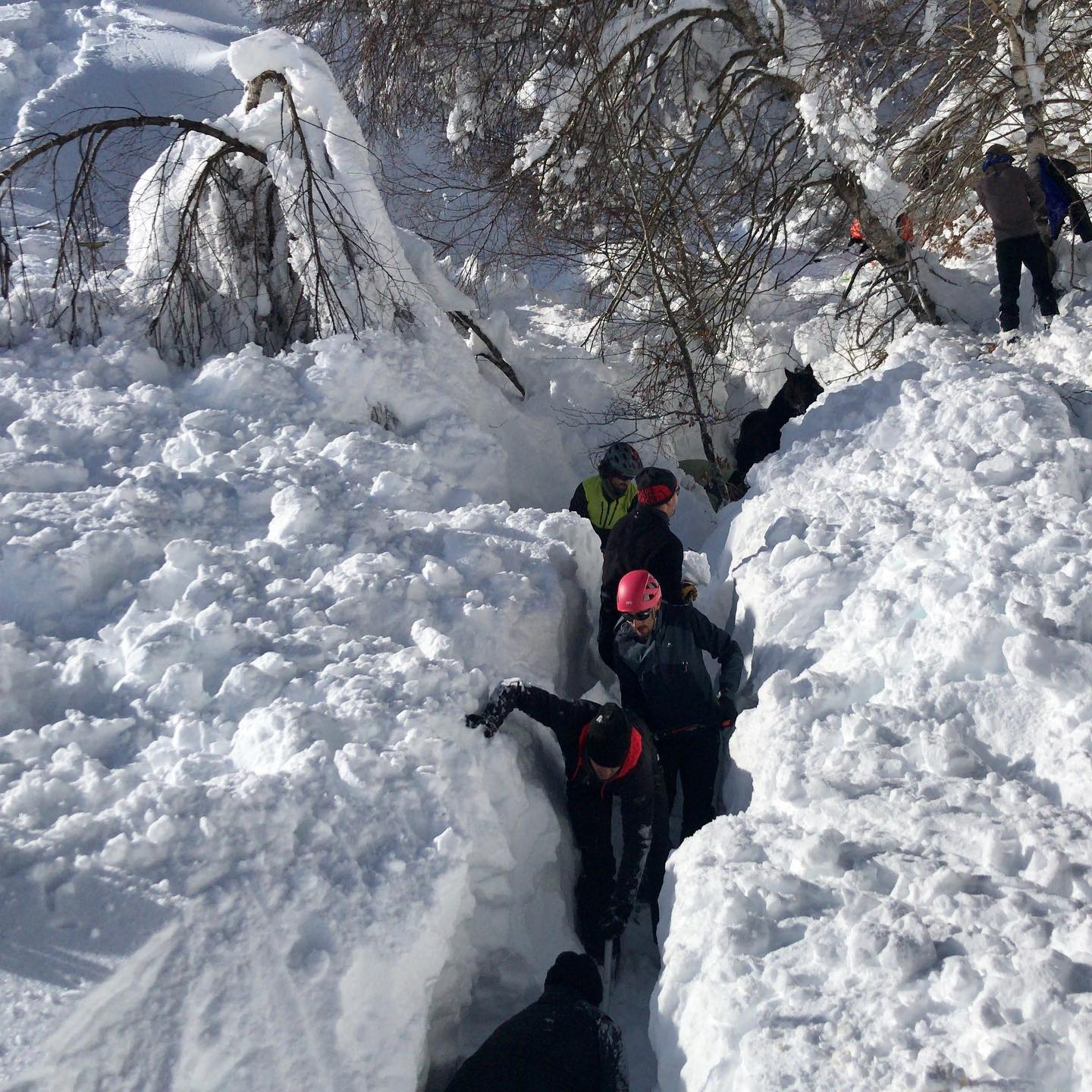 Fotos: Al rescate de las yeguas sepultadas por la nieve en Castro Valnera (Burgos)