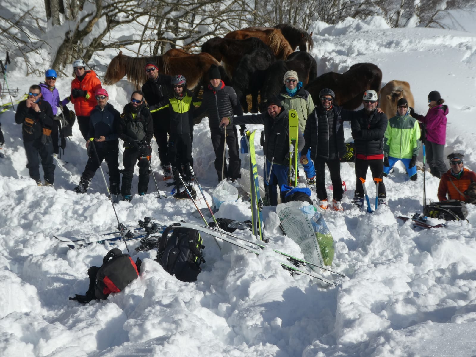 Fotos: Al rescate de las yeguas sepultadas por la nieve en Castro Valnera (Burgos)