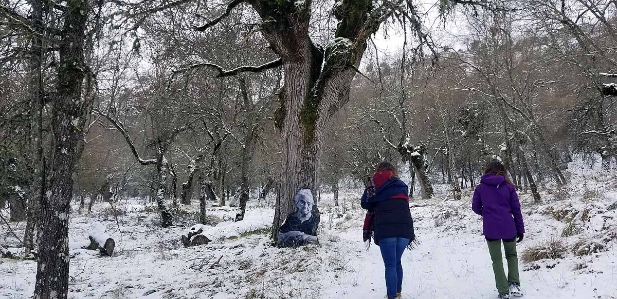 Unidos a los robles cuyas raíces anclan a la tierra de Lara, en una dehesa a la sombra de la sierra de Las Mamblas, cerca de Mambrillas de Lara, se encuentra el proyecto fotográfico 'Enraizados' | Un plan al aire libre para estos días de cierre provincial, un homenaje a los que han trabajado la tierra. 