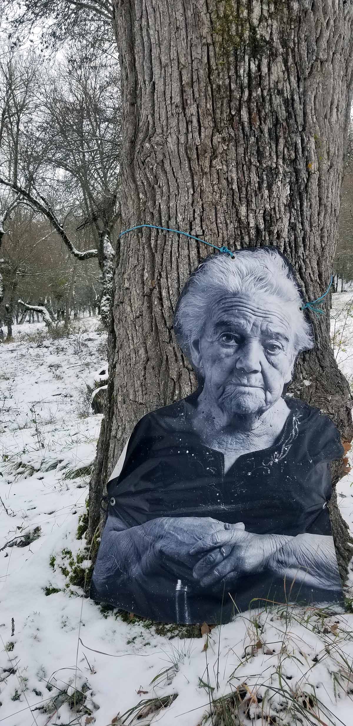 Unidos a los robles cuyas raíces anclan a la tierra de Lara, en una dehesa a la sombra de la sierra de Las Mamblas, cerca de Mambrillas de Lara, se encuentra el proyecto fotográfico 'Enraizados' | Un plan al aire libre para estos días de cierre provincial, un homenaje a los que han trabajado la tierra. 