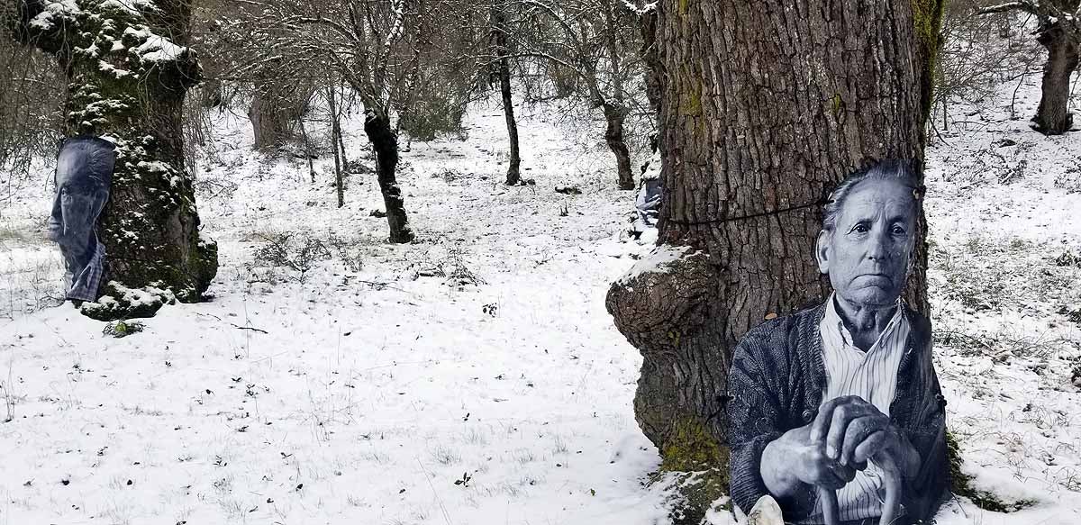 Unidos a los robles cuyas raíces anclan a la tierra de Lara, en una dehesa a la sombra de la sierra de Las Mamblas, cerca de Mambrillas de Lara, se encuentra el proyecto fotográfico 'Enraizados' | Un plan al aire libre para estos días de cierre provincial, un homenaje a los que han trabajado la tierra. 