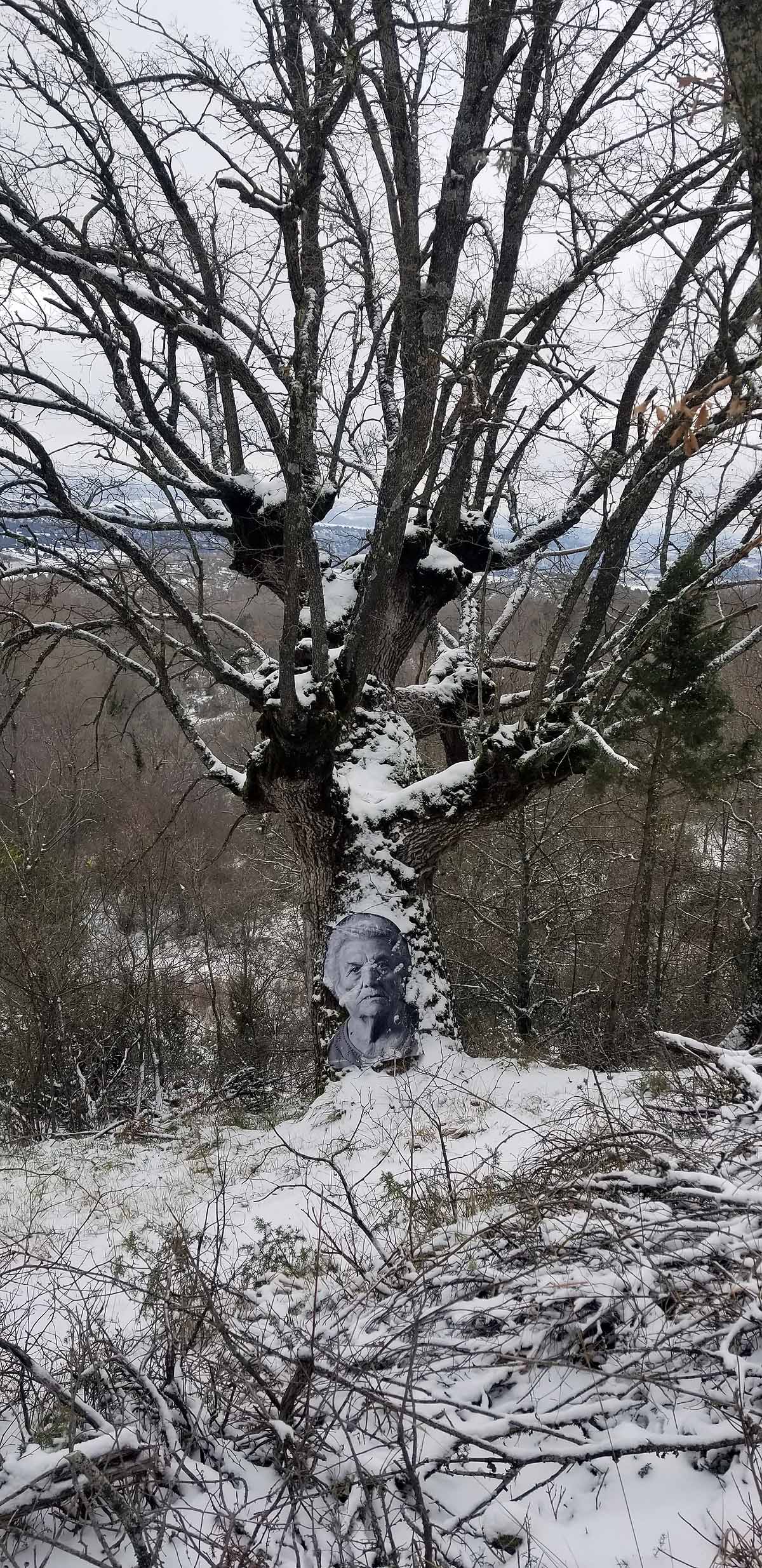 Unidos a los robles cuyas raíces anclan a la tierra de Lara, en una dehesa a la sombra de la sierra de Las Mamblas, cerca de Mambrillas de Lara, se encuentra el proyecto fotográfico 'Enraizados' | Un plan al aire libre para estos días de cierre provincial, un homenaje a los que han trabajado la tierra. 