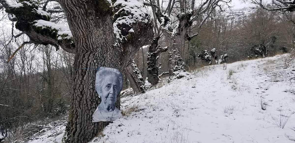 Unidos a los robles cuyas raíces anclan a la tierra de Lara, en una dehesa a la sombra de la sierra de Las Mamblas, cerca de Mambrillas de Lara, se encuentra el proyecto fotográfico 'Enraizados' | Un plan al aire libre para estos días de cierre provincial, un homenaje a los que han trabajado la tierra. 