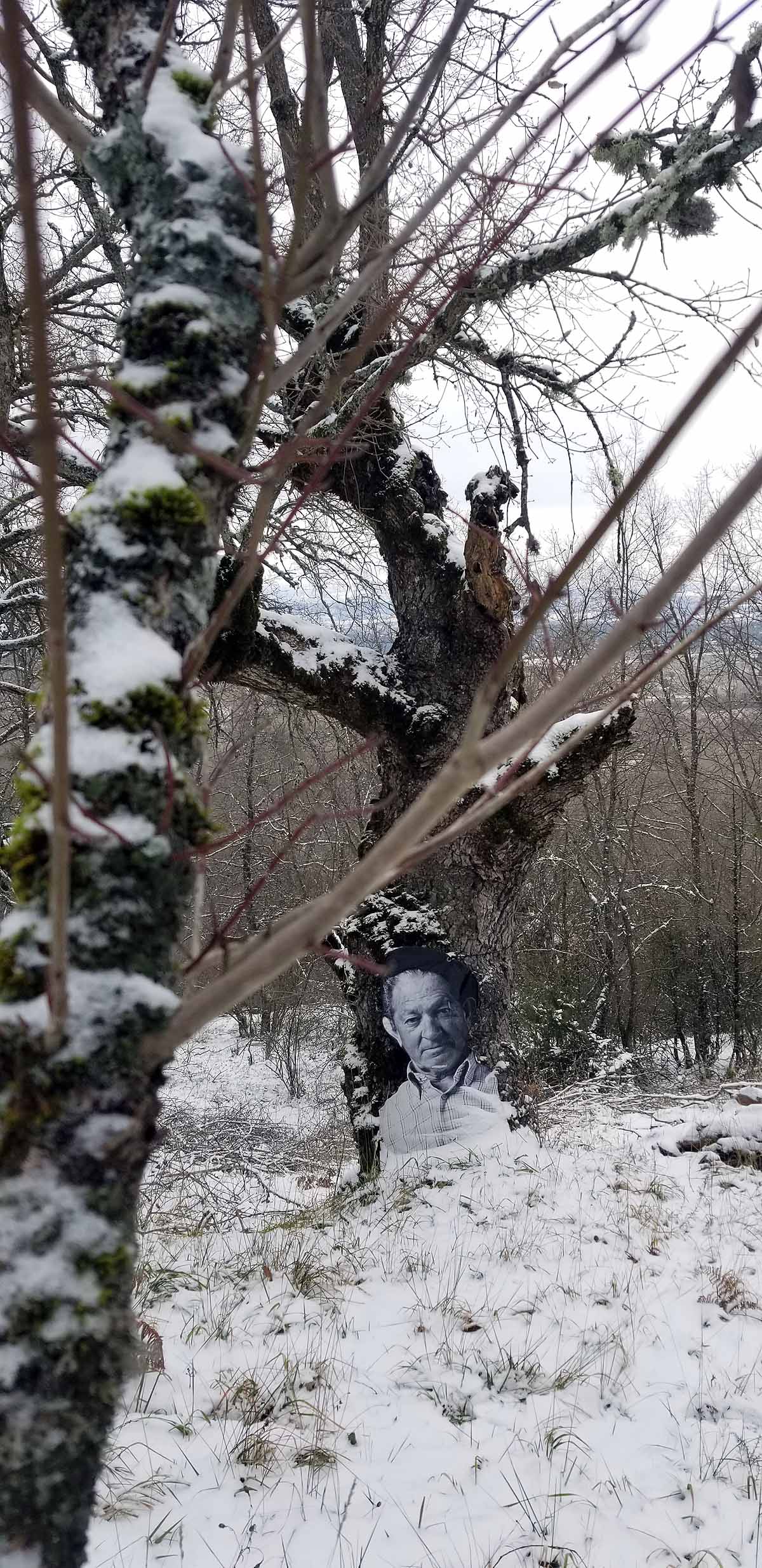Unidos a los robles cuyas raíces anclan a la tierra de Lara, en una dehesa a la sombra de la sierra de Las Mamblas, cerca de Mambrillas de Lara, se encuentra el proyecto fotográfico 'Enraizados' | Un plan al aire libre para estos días de cierre provincial, un homenaje a los que han trabajado la tierra. 