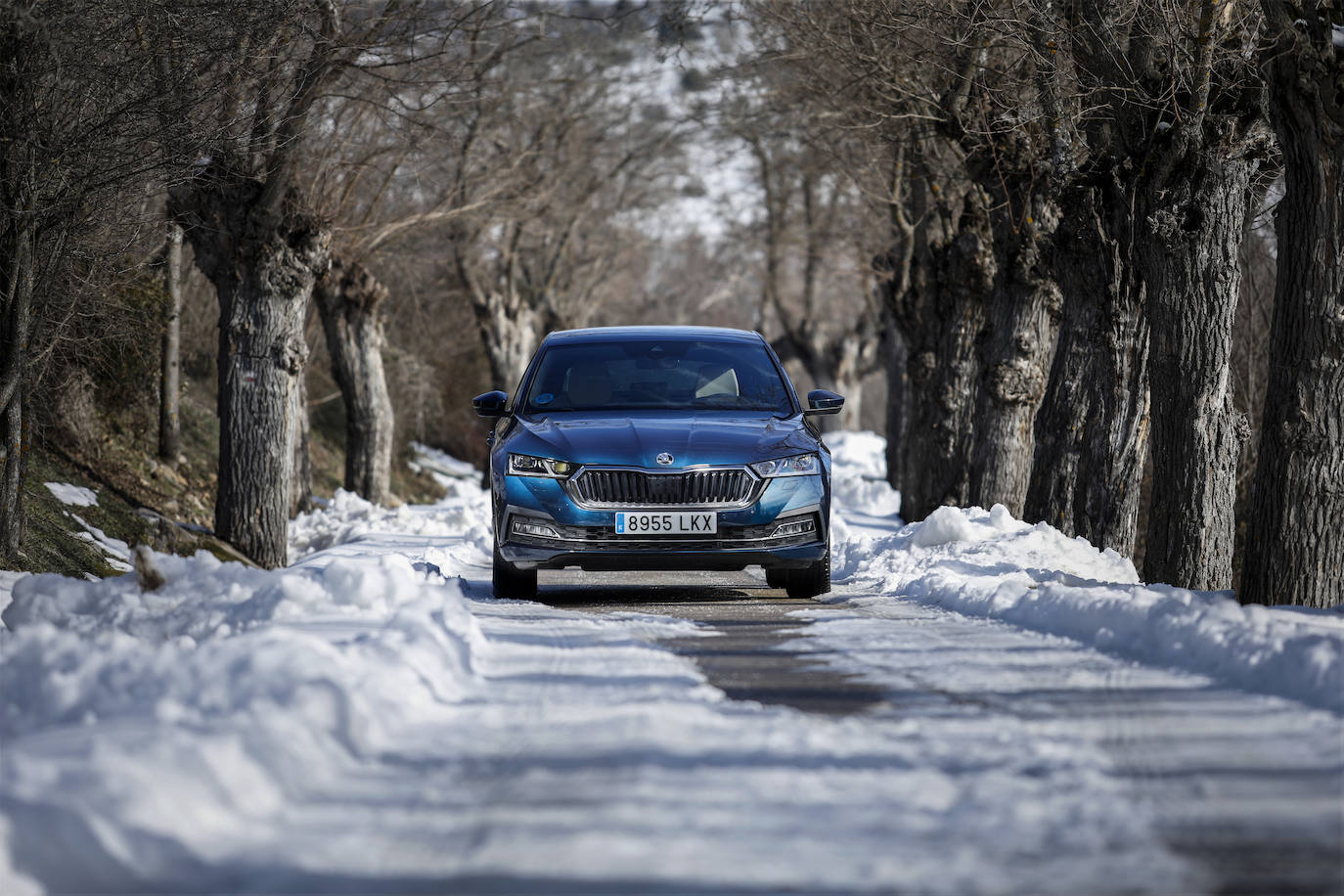 Fotos: Fotogalería: Skoda Octavia iV híbrido enchufable