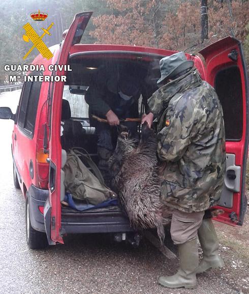 Los dos indivuos cargando el animal en la furgoneta.