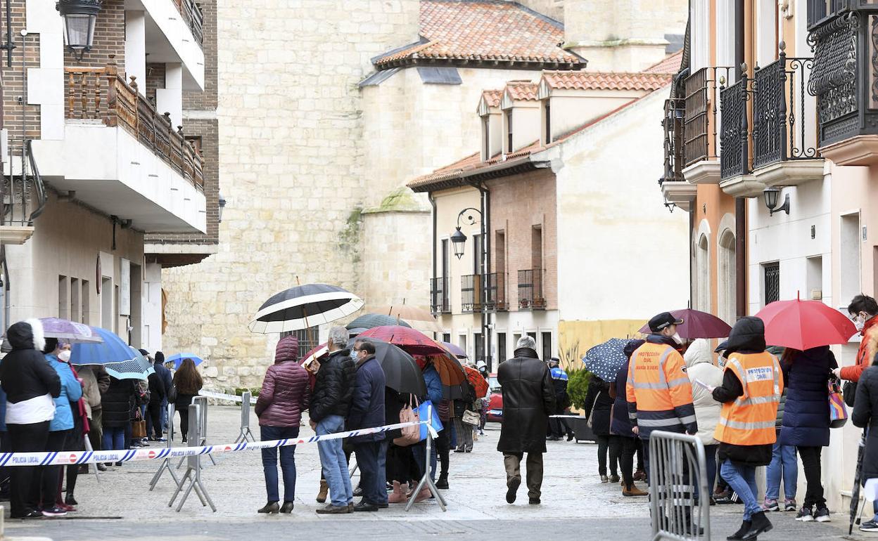 Imagen de los cribados masivos de Aranda de Duero.