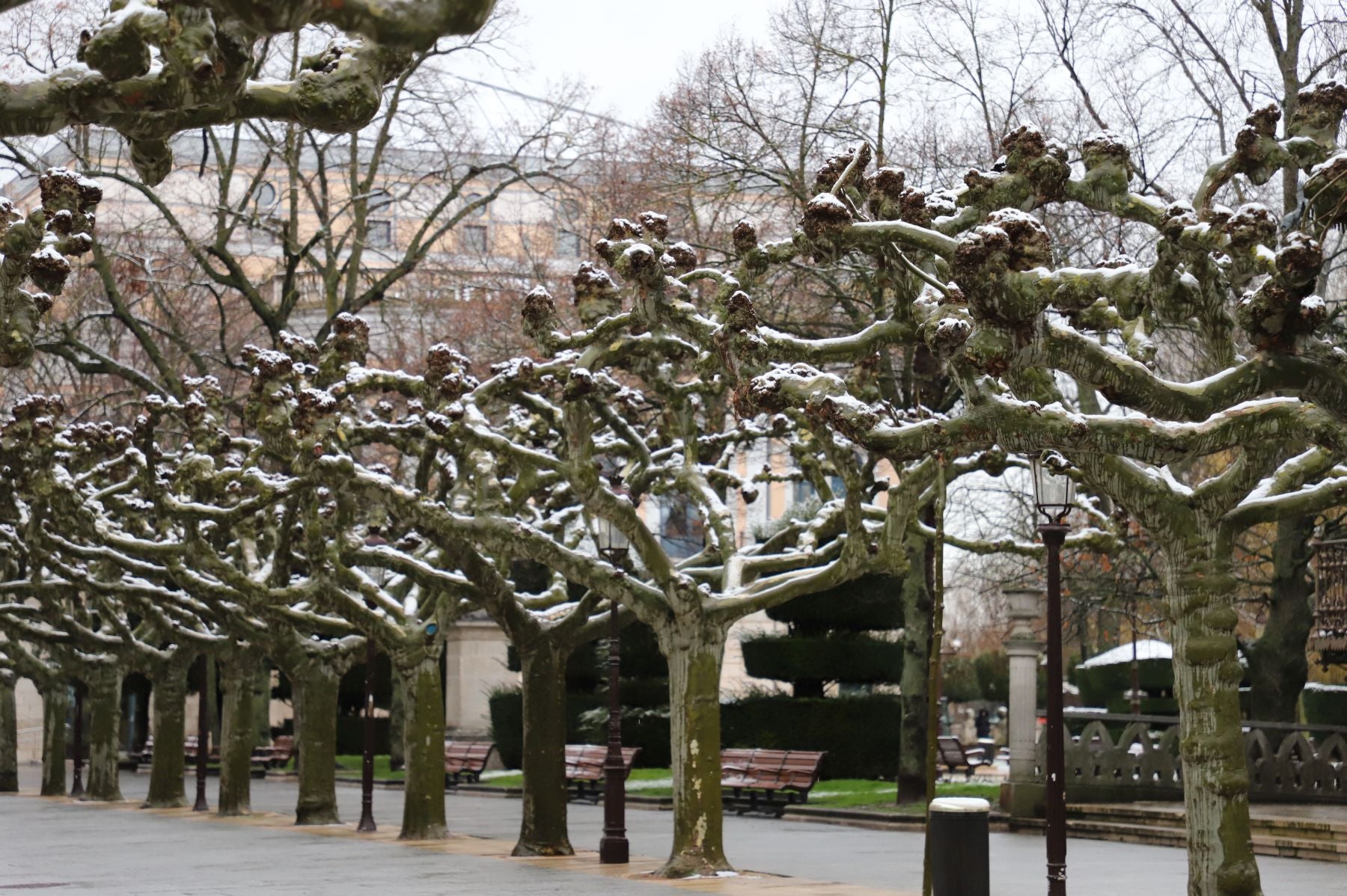 Fotos: Burgos amanece bajo una fina capa de nieve