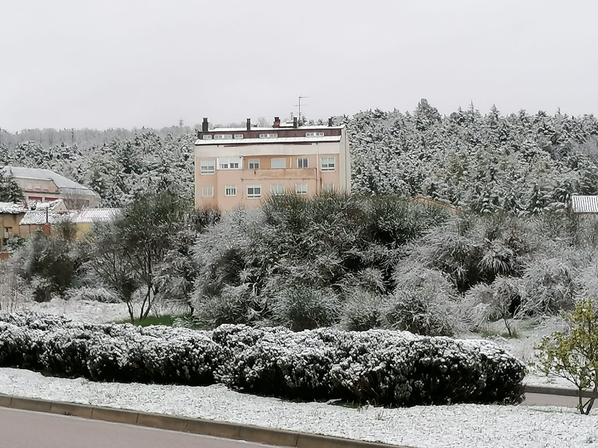 Fotos: Burgos amanece bajo una fina capa de nieve