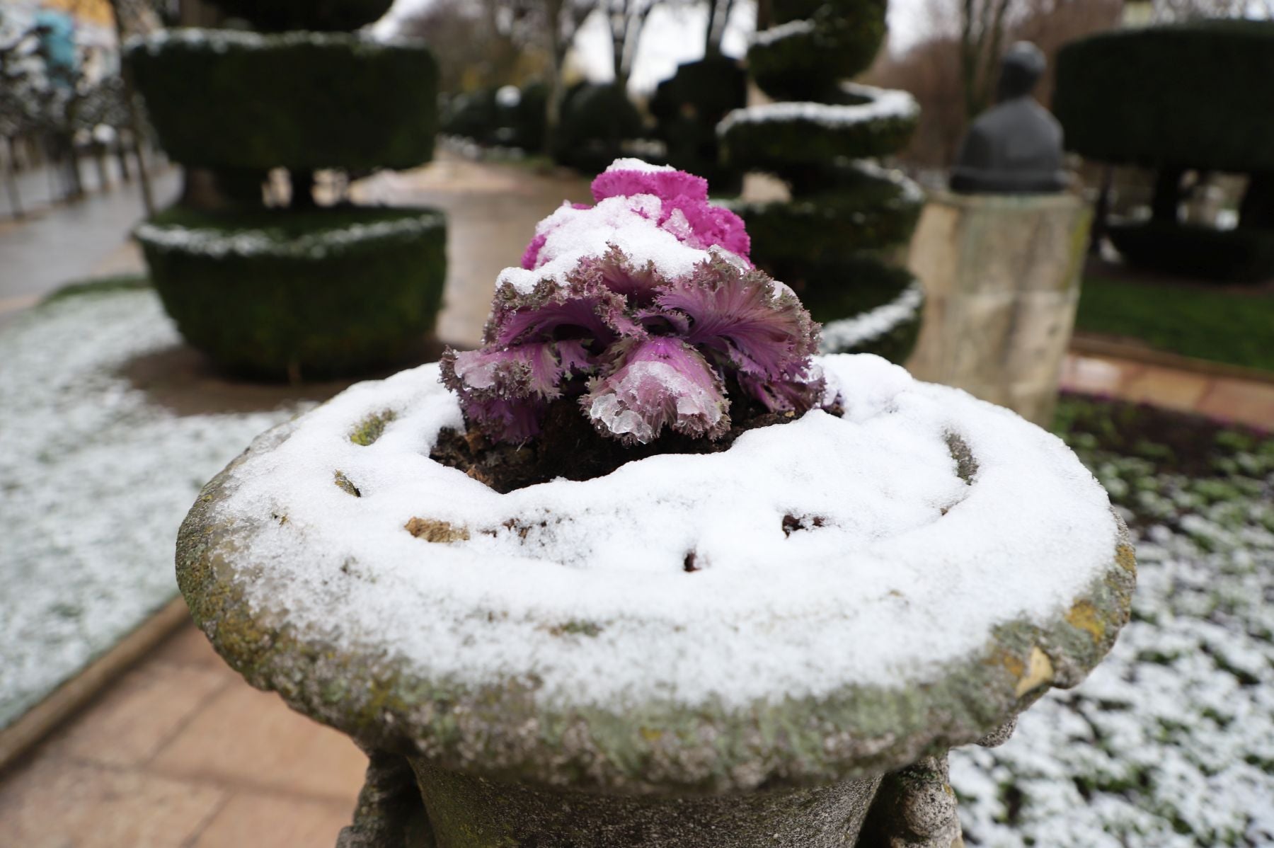 Fotos: Burgos amanece bajo una fina capa de nieve