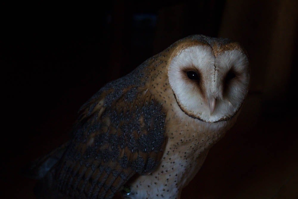 Fotos: Recuerdos latentes, futuro talentoso