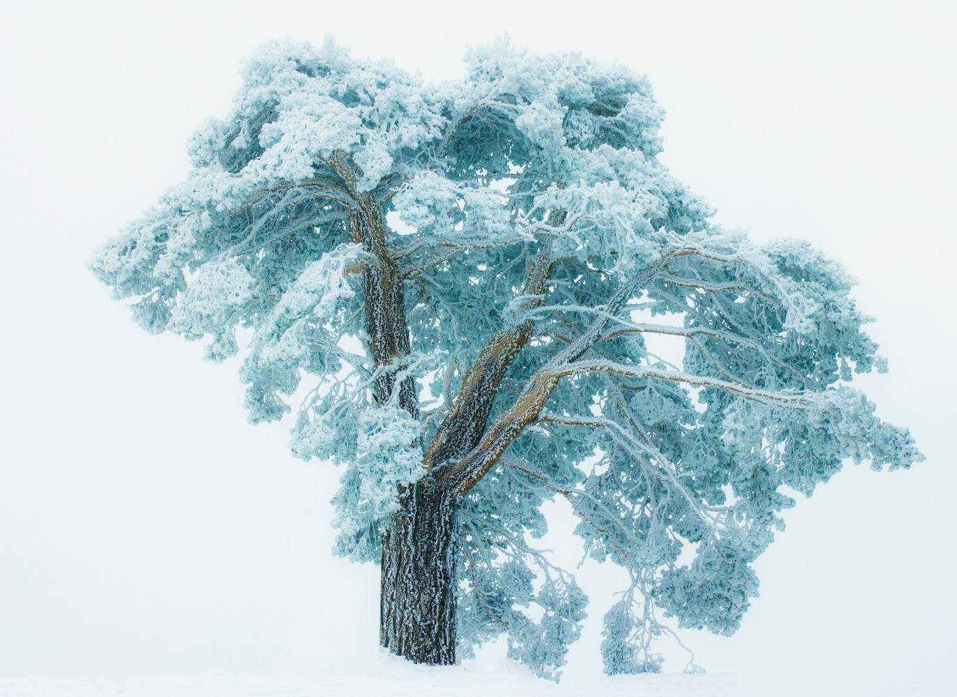 Fotos: Recuerdos latentes, futuro talentoso