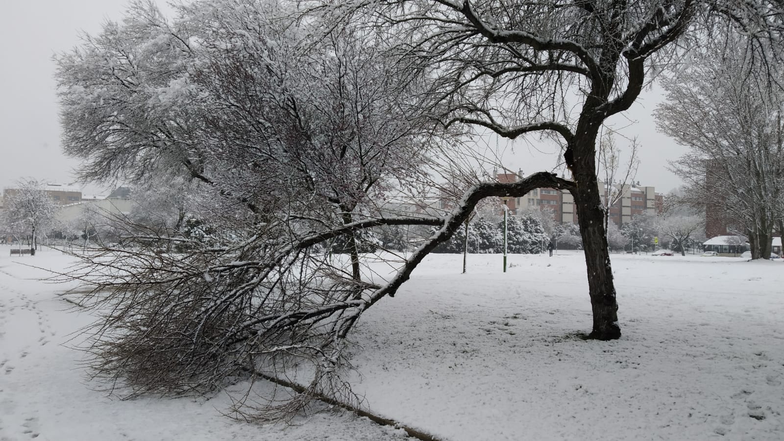 Fotos: La nieve también cubre Gamonal y Fuentecillas